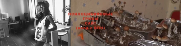 прущая мука Богородицк