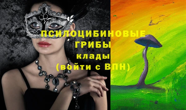 спиды Осинники