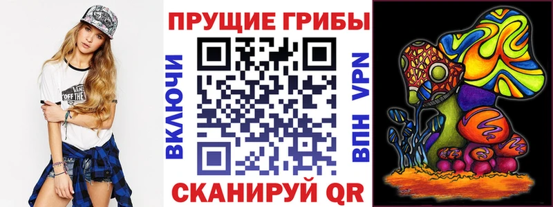 мега tor  Дмитровск  Псилоцибиновые грибы прущие грибы 
